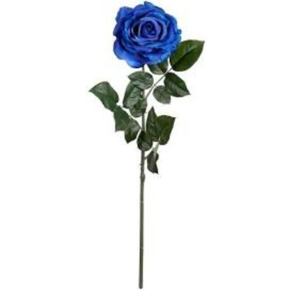 Meet your Posher, Eva - Picture 1 of 1